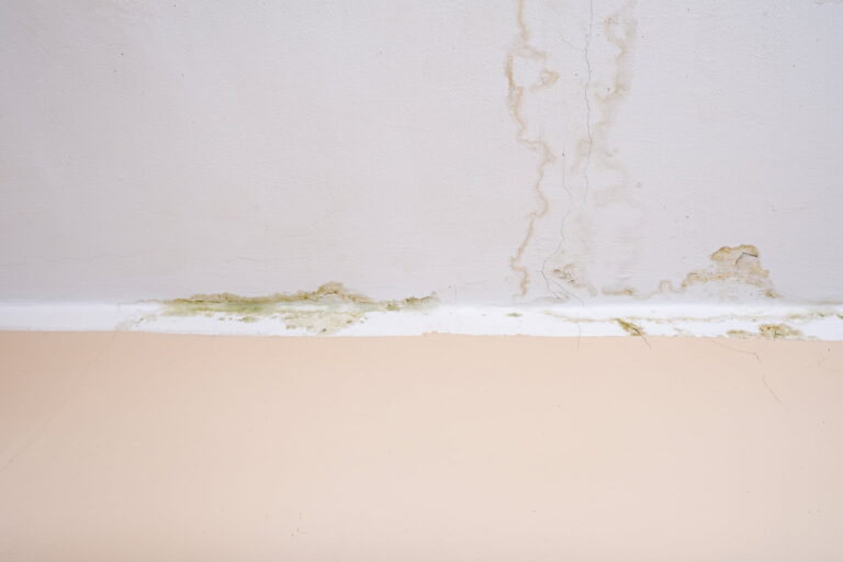 Water stain spreading across a ceiling from a roof leak