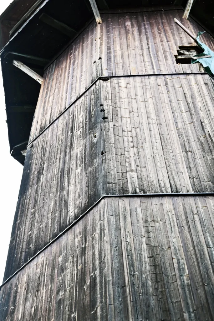 A column of woodpecker holes along a seam in weathered wood board siding