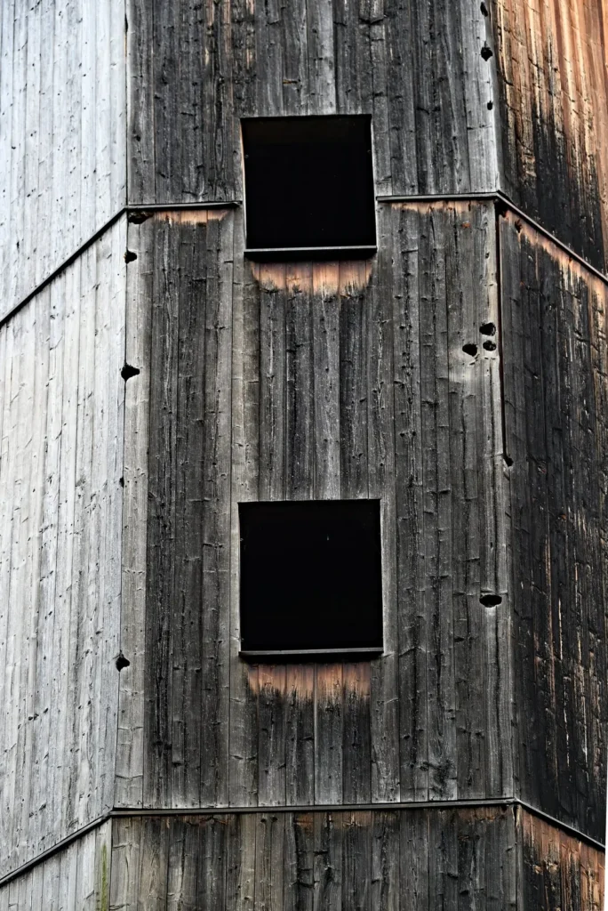 Round woodpecker holes drilled through weathered vertical wood board siding